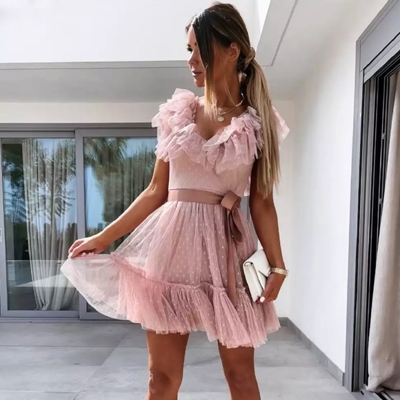 Little Pearls of Life Dresses & Skirts - Pink Blush Ruffle Tulle Elegant Pleated Dress